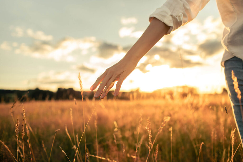 hand an gras